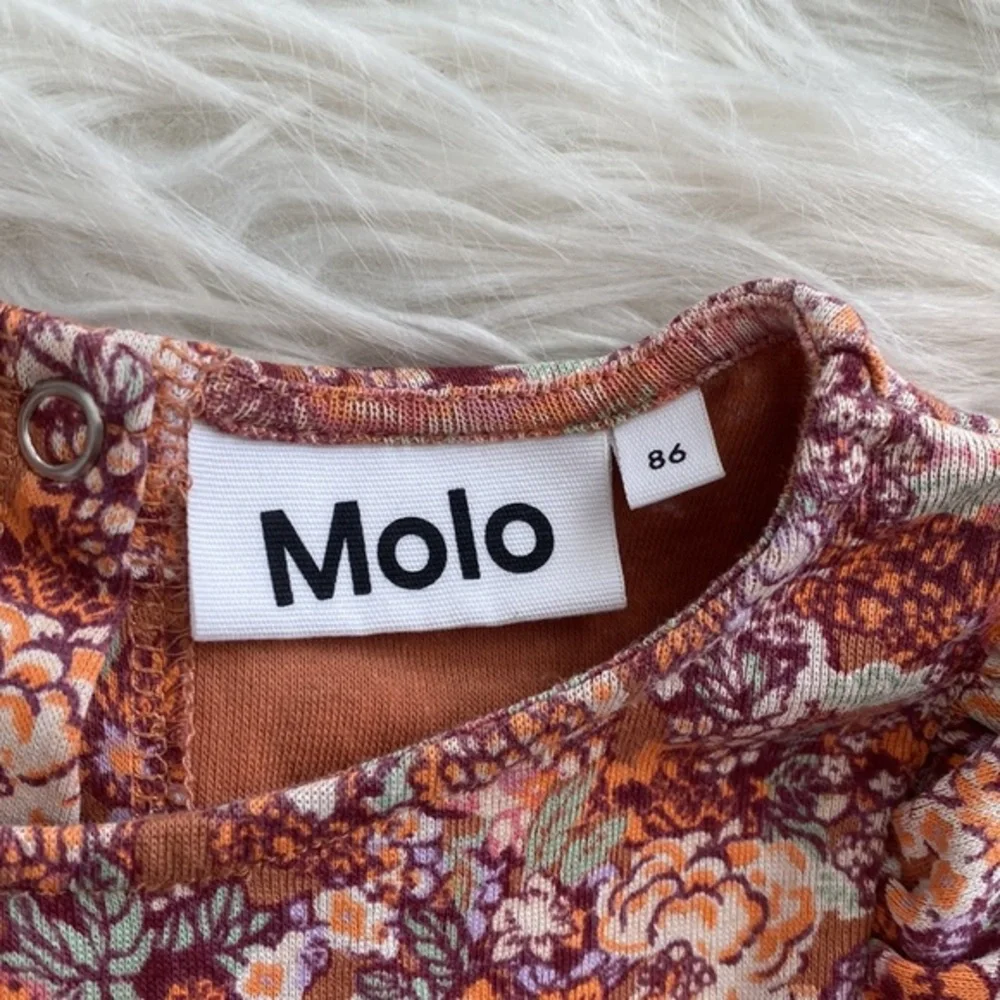 Molo excellent no